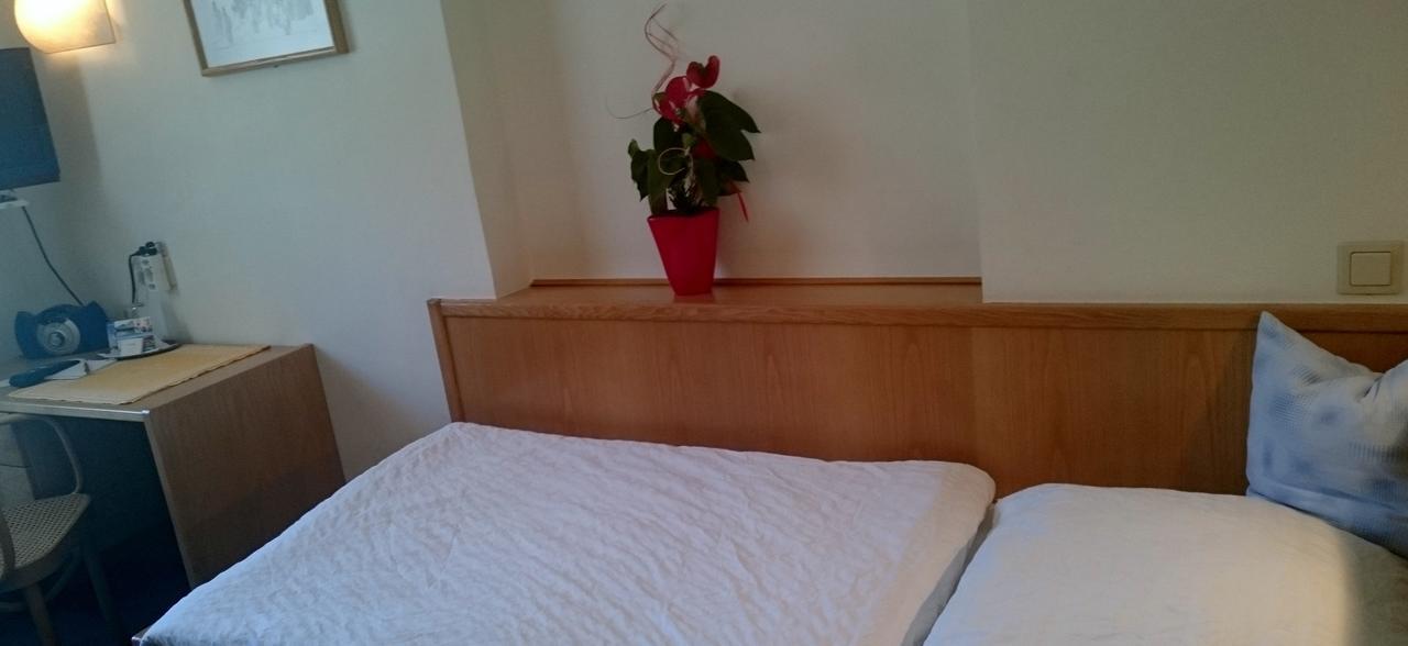 Hotel Zum Goldenen Hirschen 거스텔링안더얍스 외부 사진